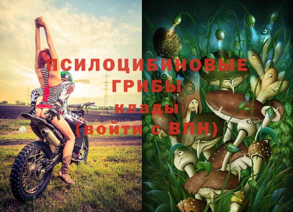 PSILOCYBIN Абинск