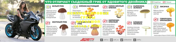 apvp Абаза