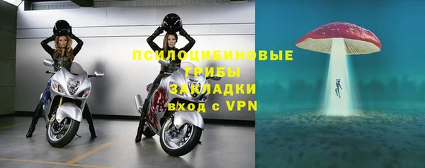 PSILOCYBIN Абинск