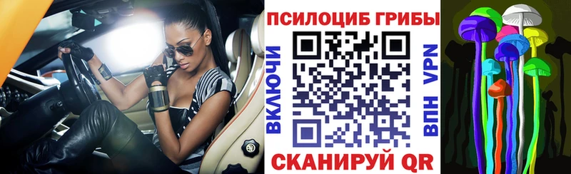 shop наркотические препараты Черепаново Галлюциногенные грибы MAGIC MUSHROOMS