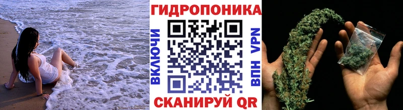 сколько стоит  Черепаново  Каннабис сатива 